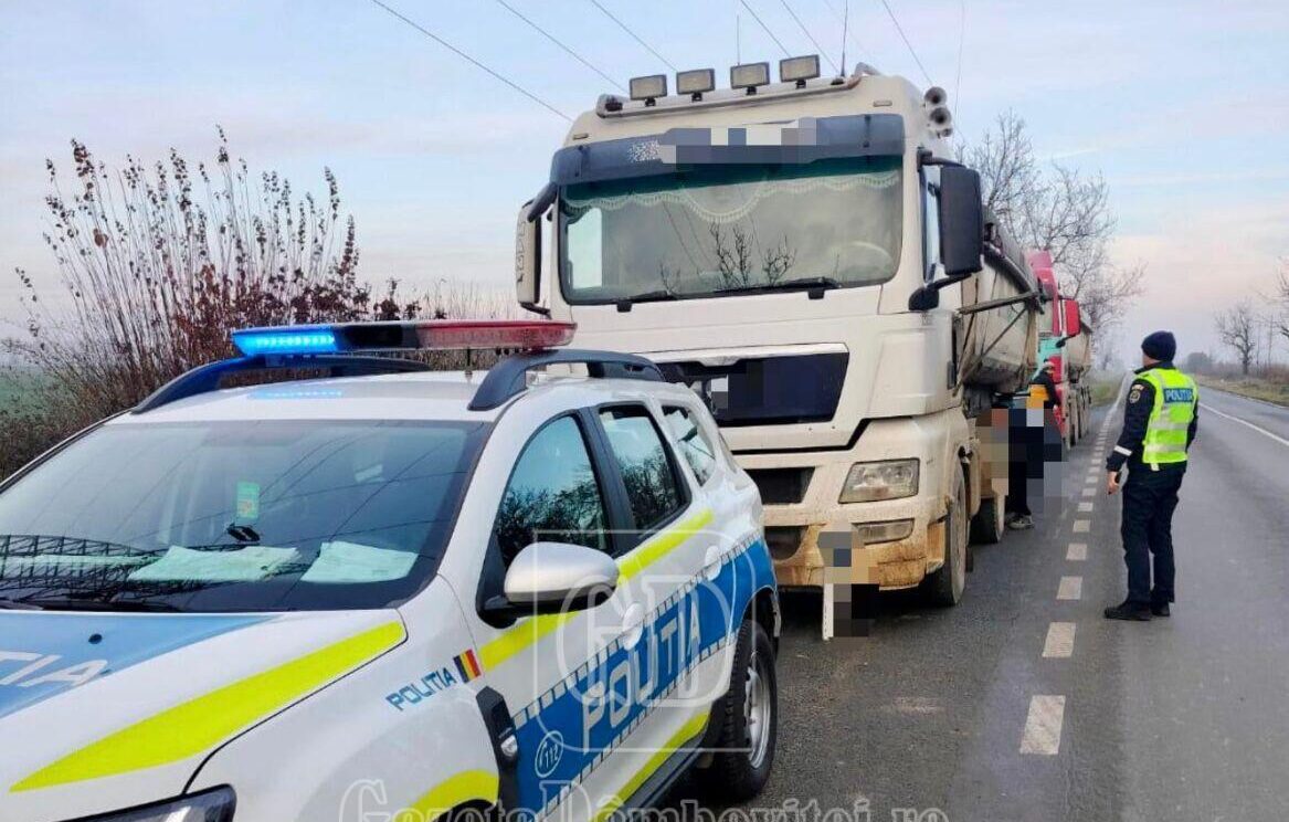 truck bus