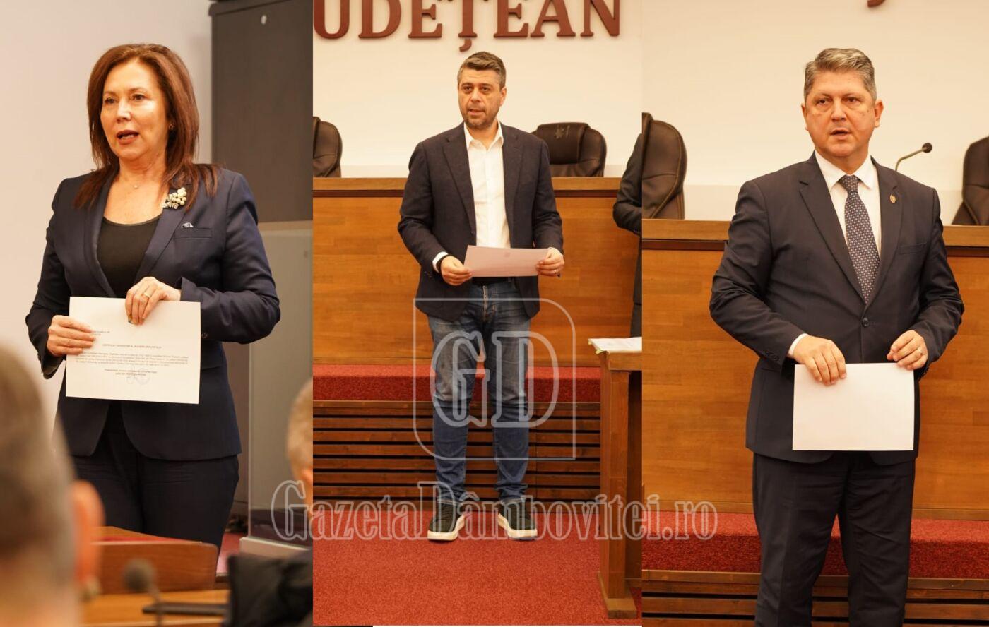 psd dambovita