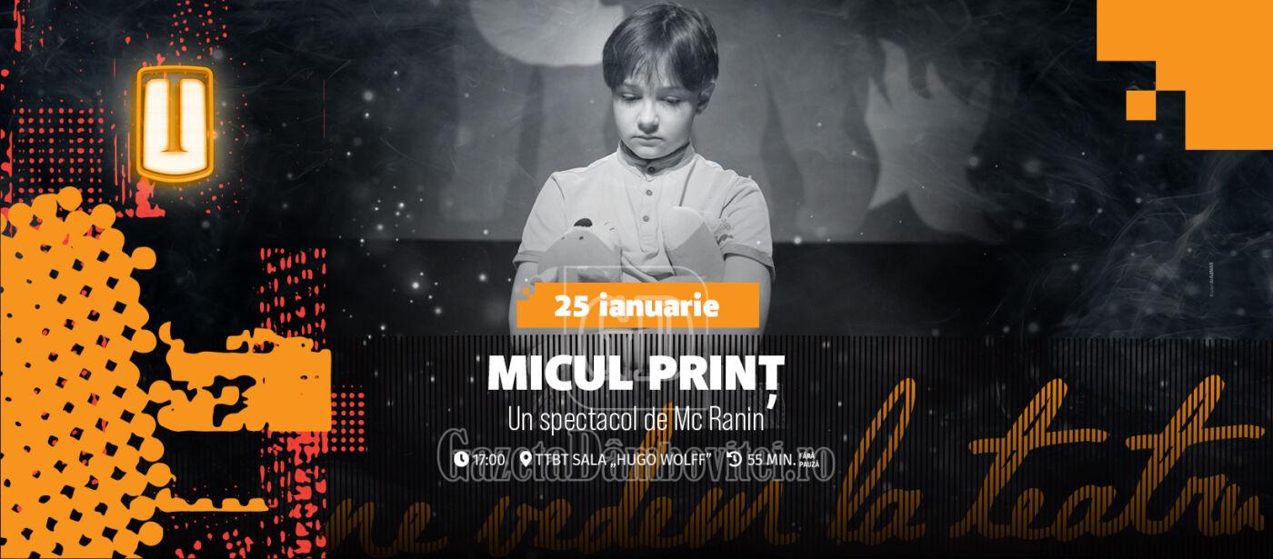 afis micul print
