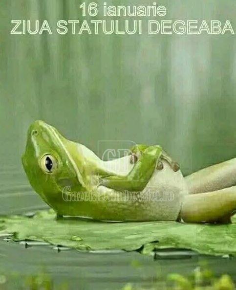 ziua statului degeaba