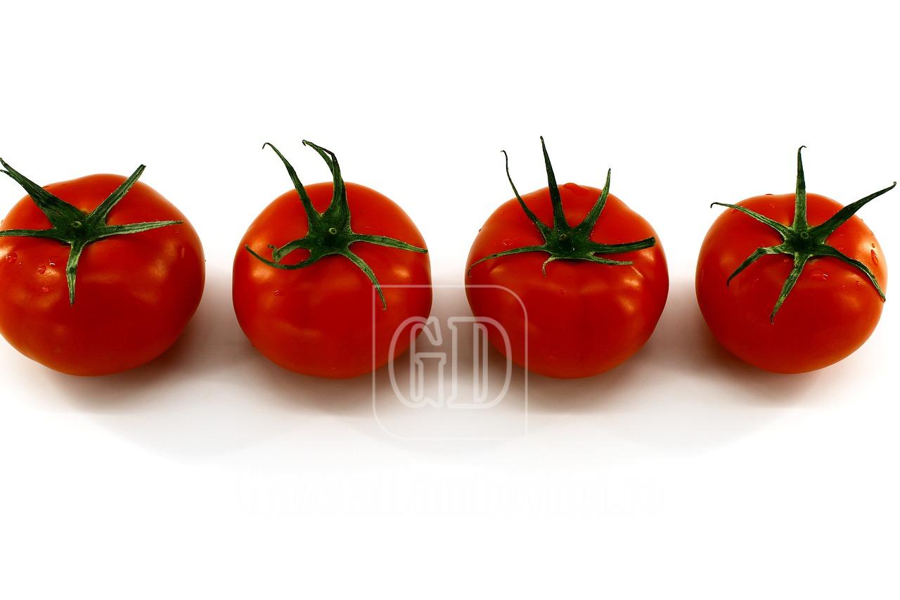 6white background 4282799 1280