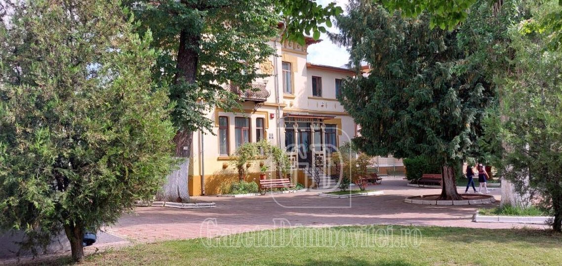 liceul de arte balasa doamna