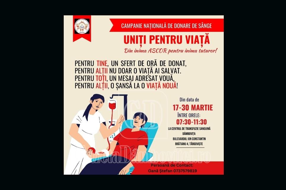 campanie ascor 2