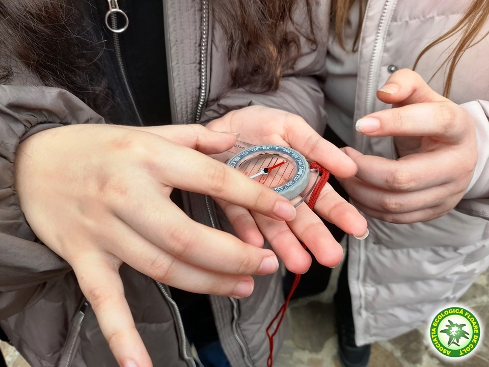 diapozitiv141