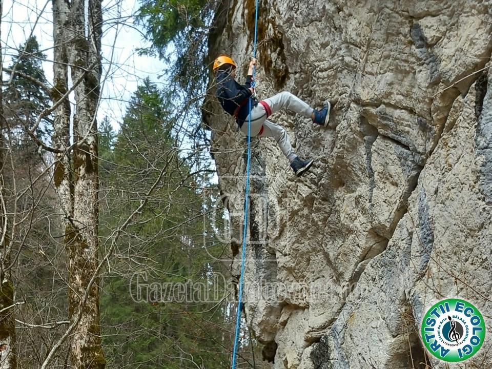 diapozitiv8