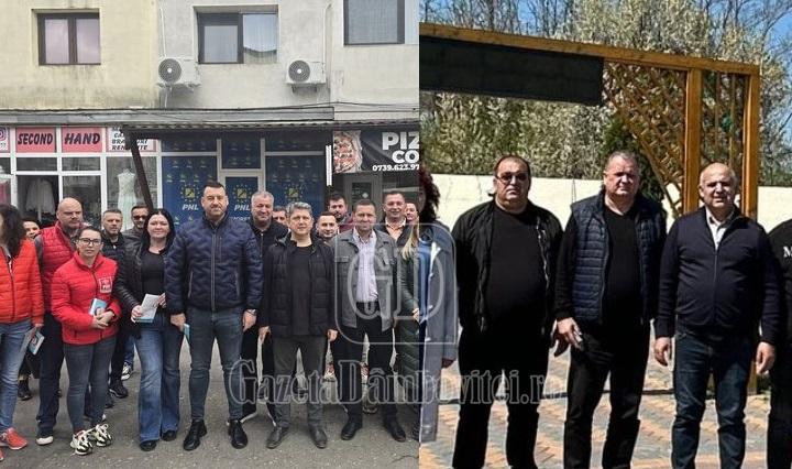 psd pnl