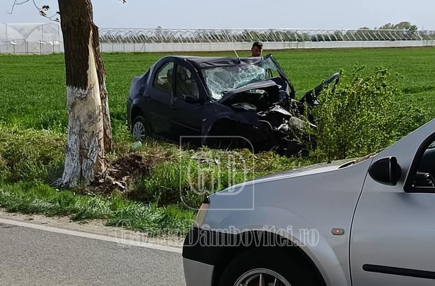 accident potlogi