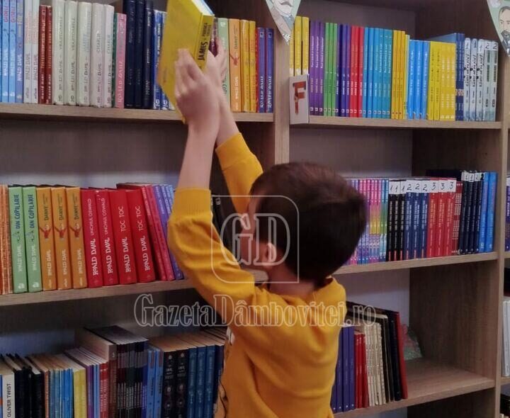 darius bibliotecar