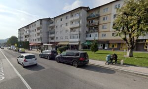 fieni