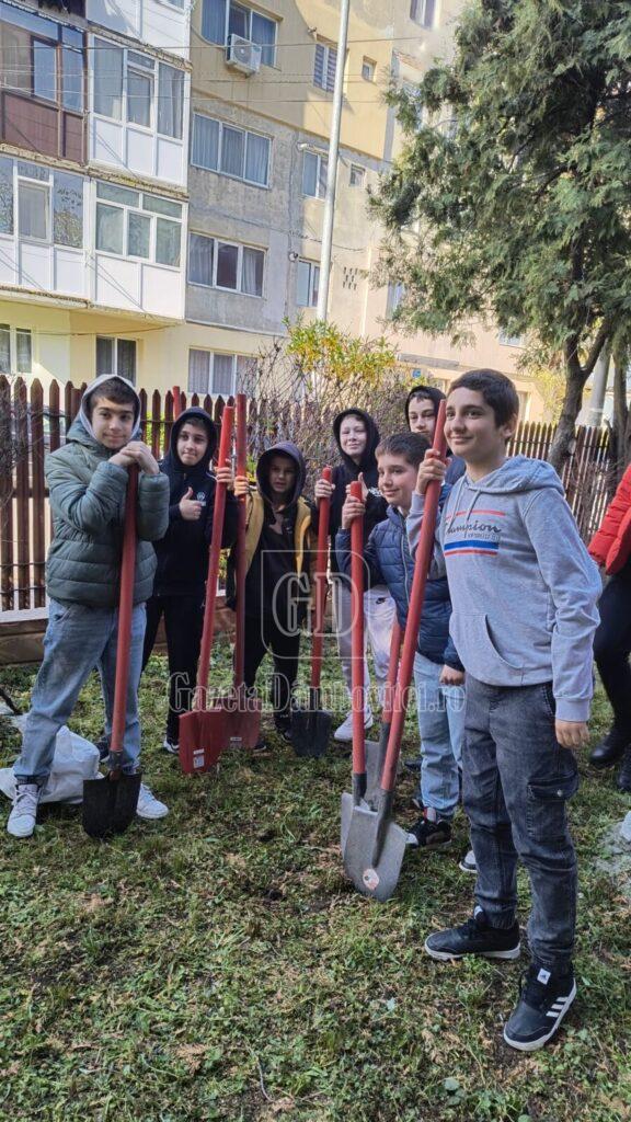 plantare paul banica 4