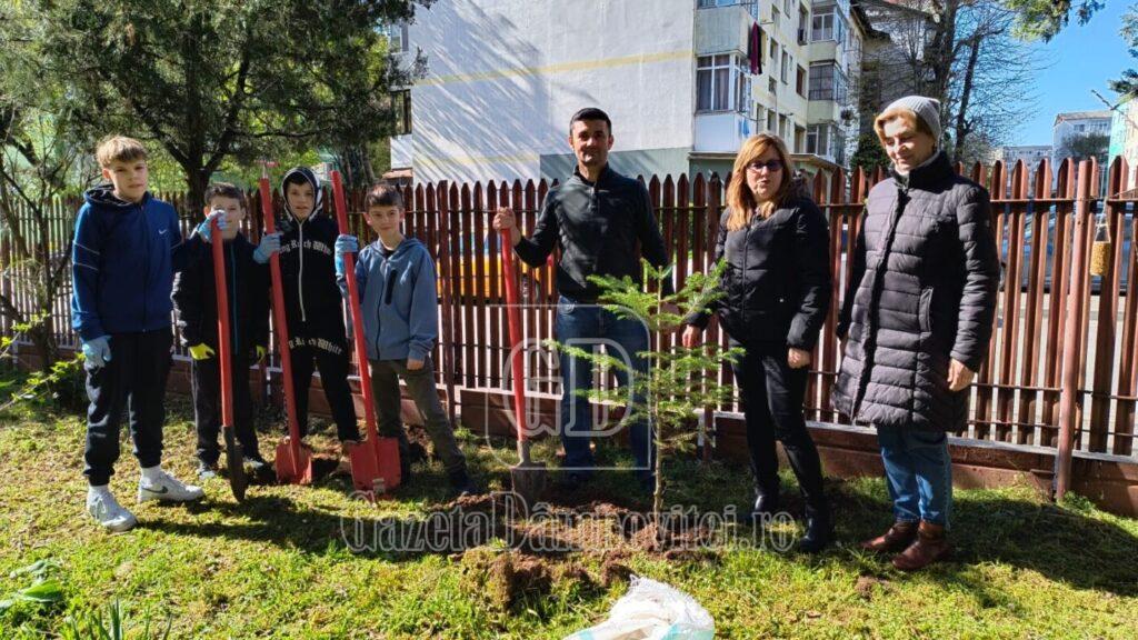plantare paul banica 9