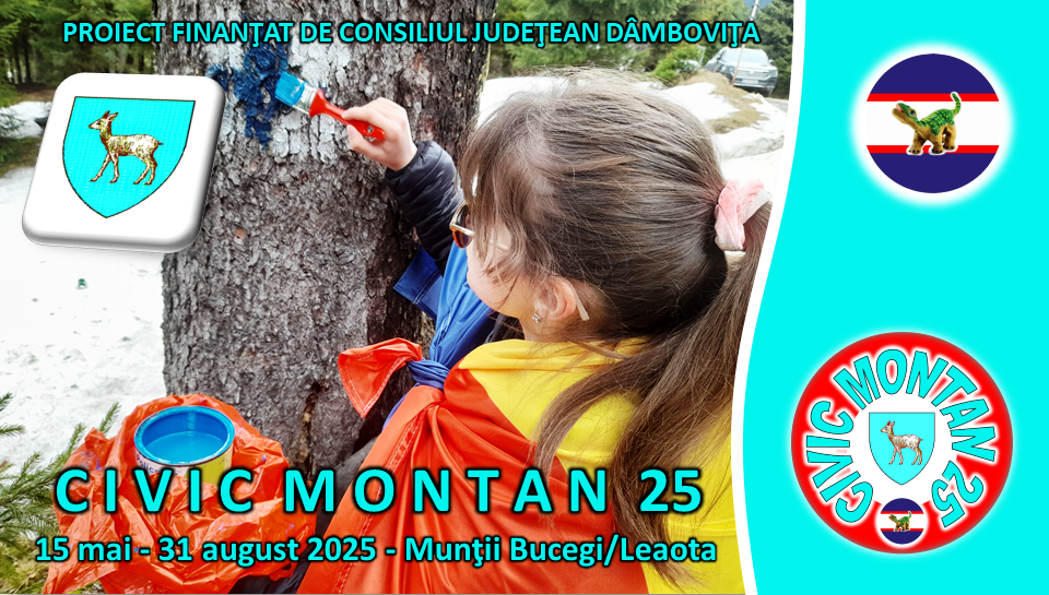 banner civic montan 25