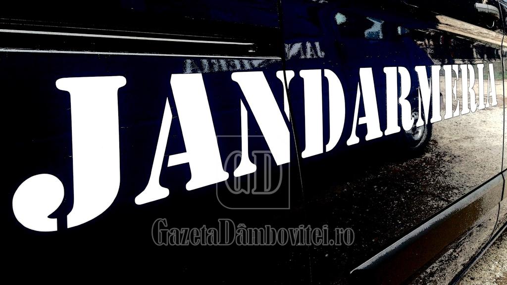 jandarmeria dâmbovița