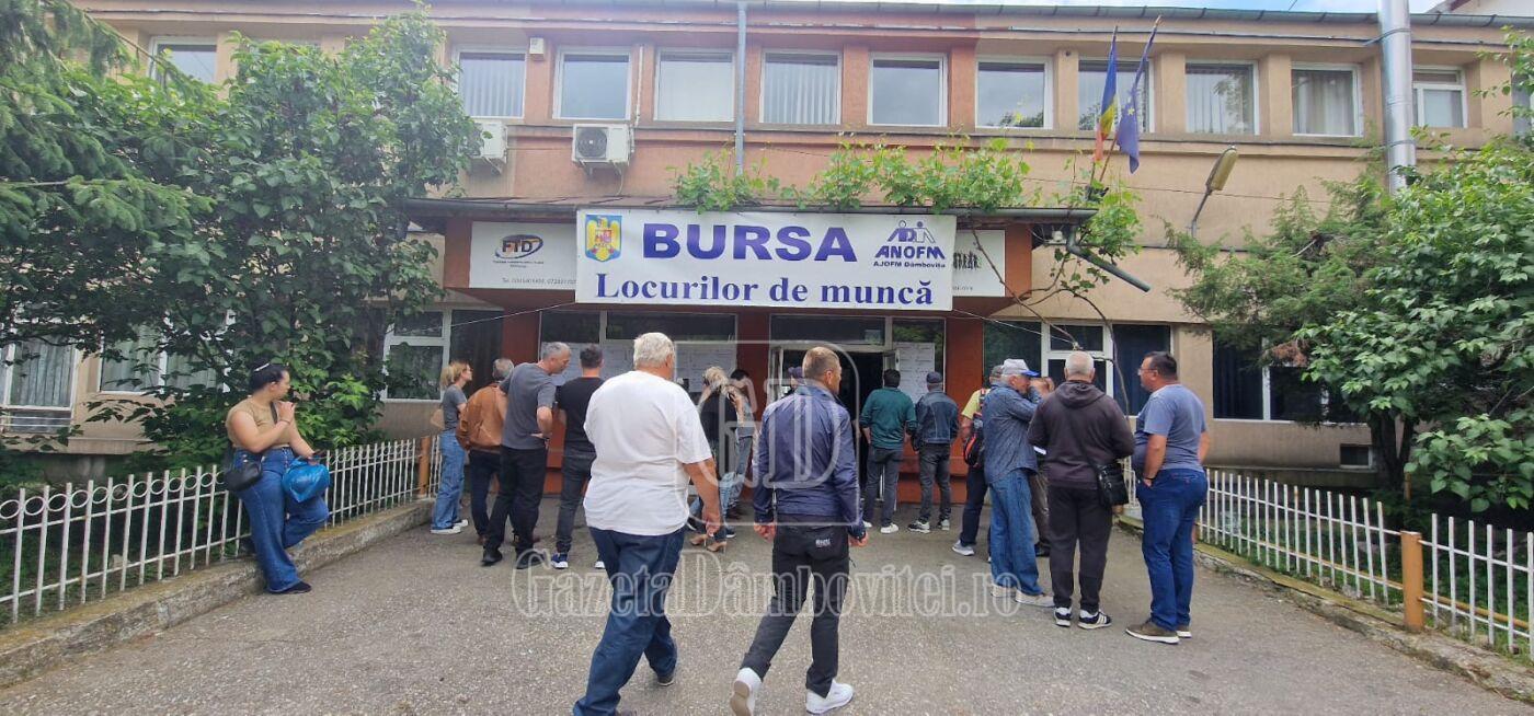 bursa locurilor de munca