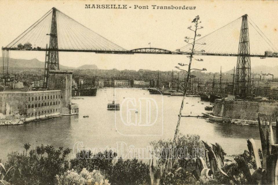 marsilia