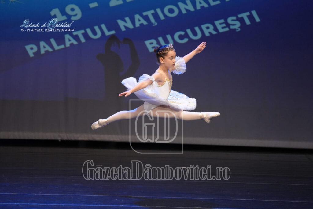 sandra mihai (10)