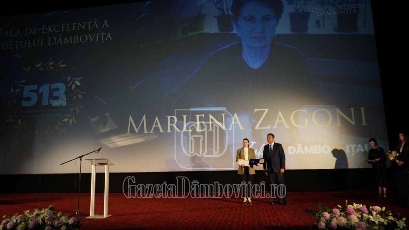 gala de excelență a județului dâmbovița (1)
