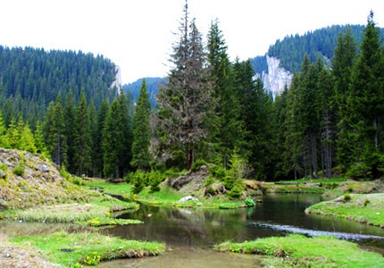 cheile zanoagei