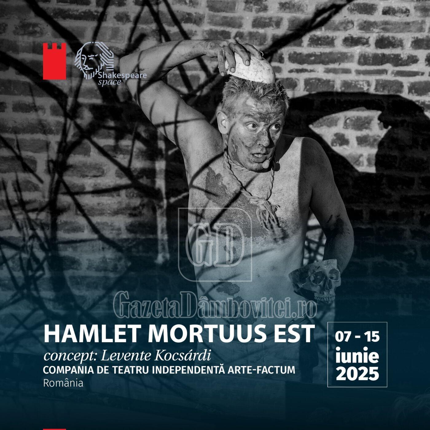 hamlet babel promo