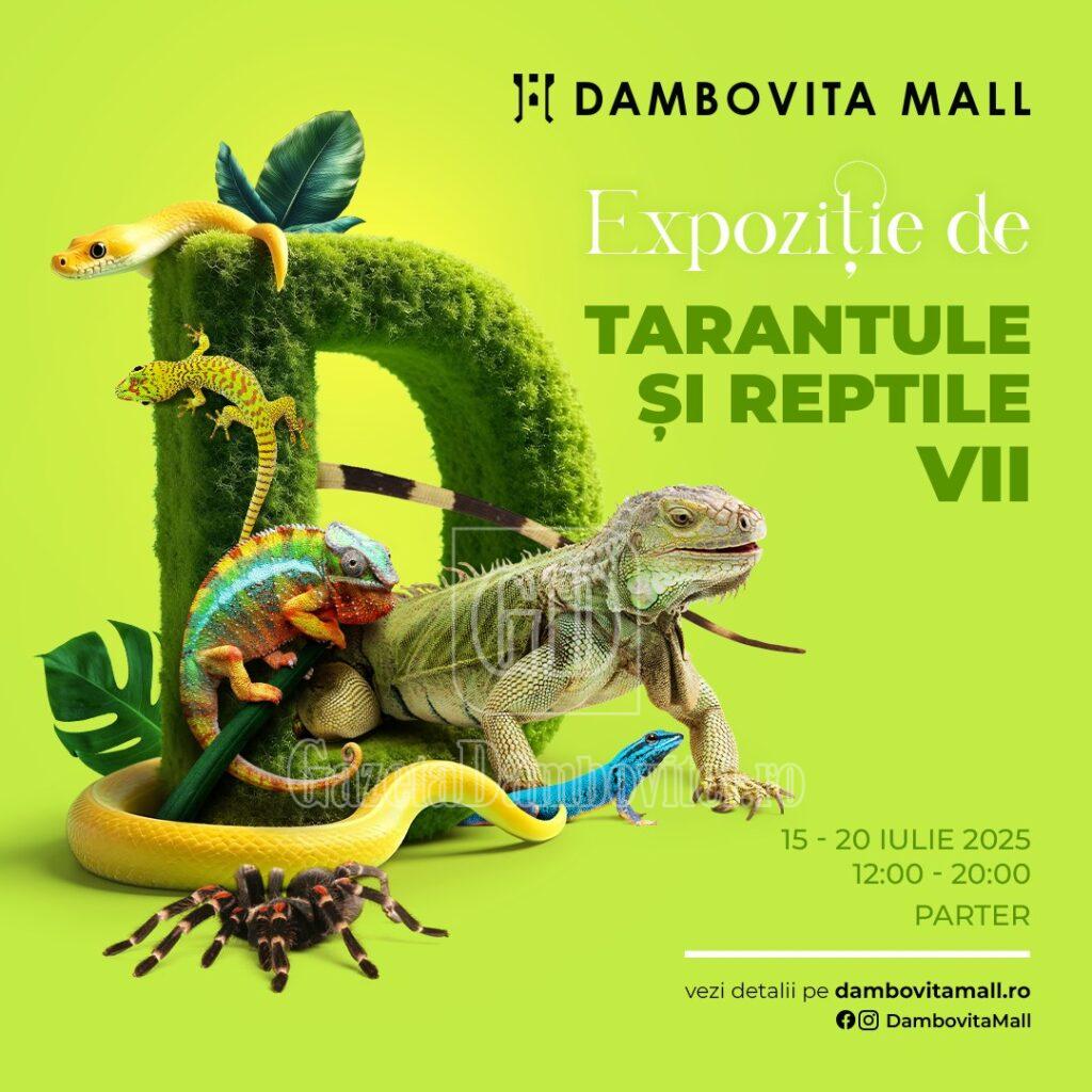 expozitie reptile mall