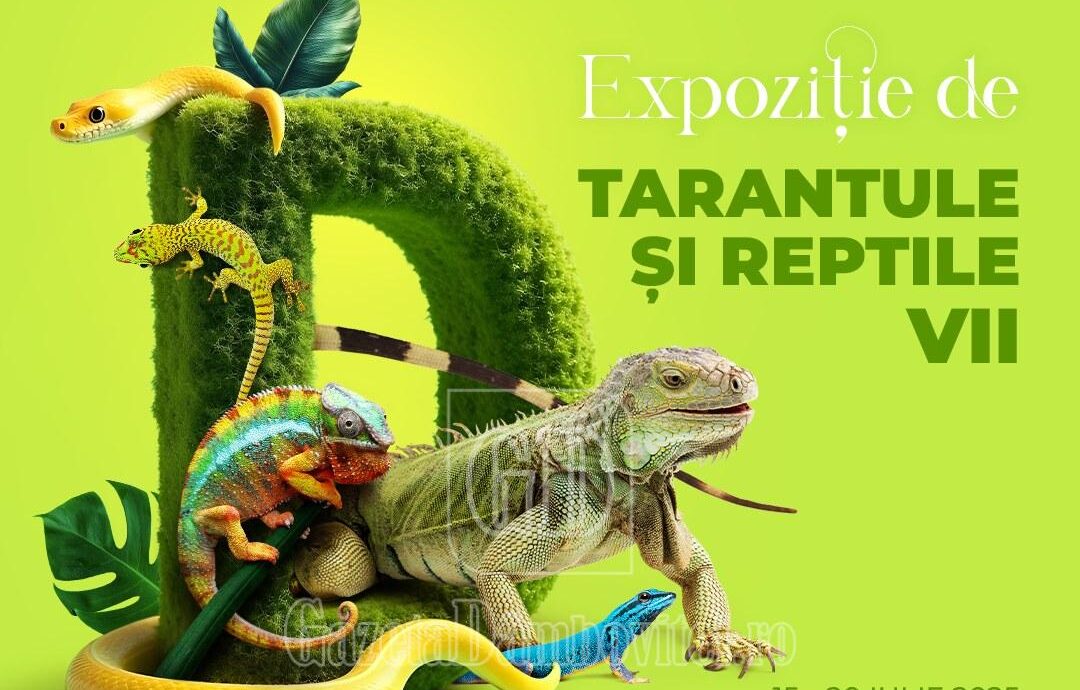 expozitie reptile mall