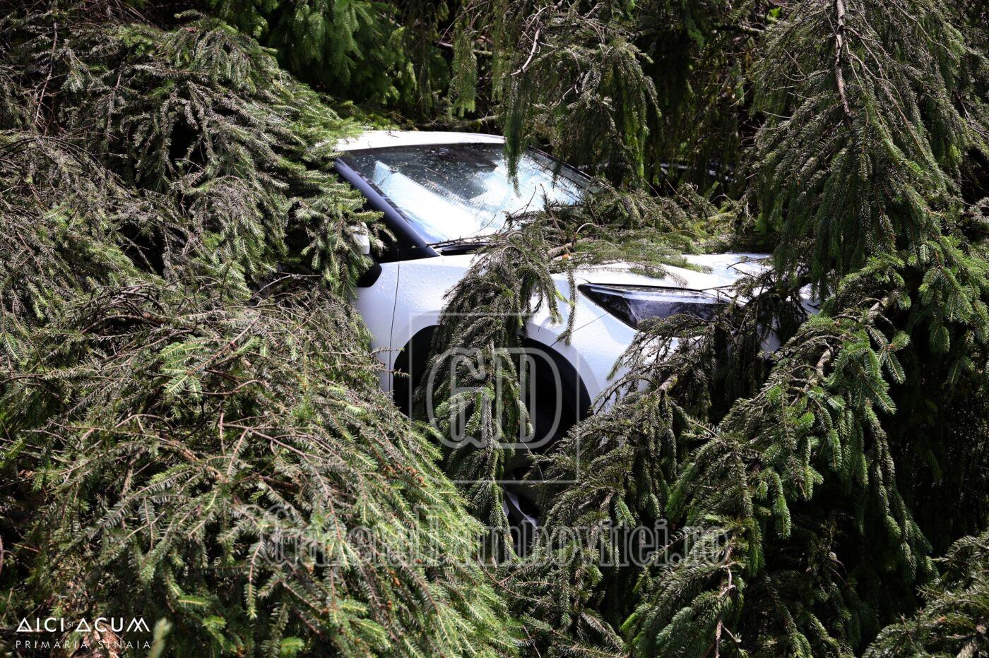 primaria pucioasa (2)