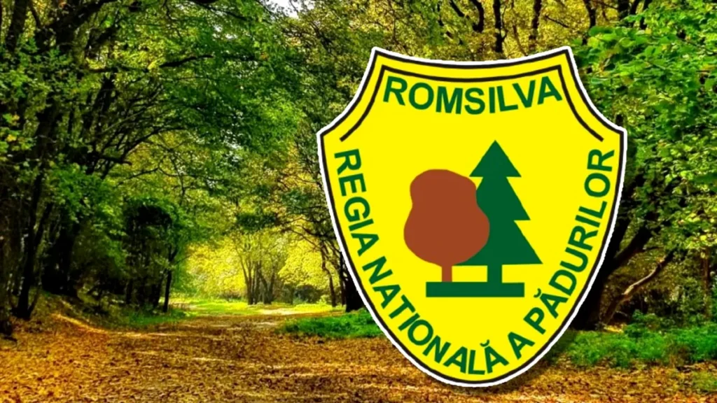 romsilva