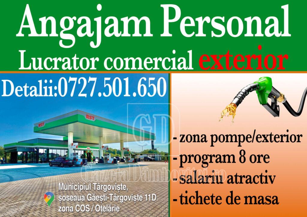 angajare exterior copy
