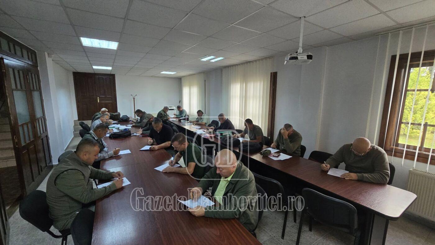 concurs ocolul silvic sturzeni (7)