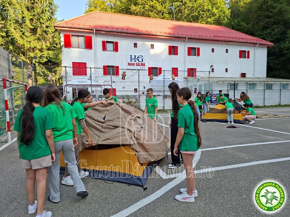 tabara montana (5)
