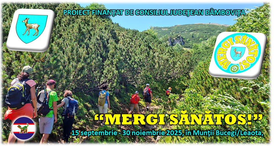 banner mergi sănătos