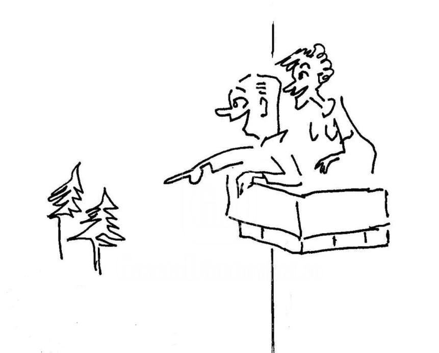 picture1
