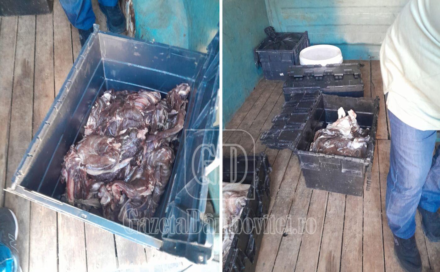 whatsapp image 2025 09 01 at 14.40.17