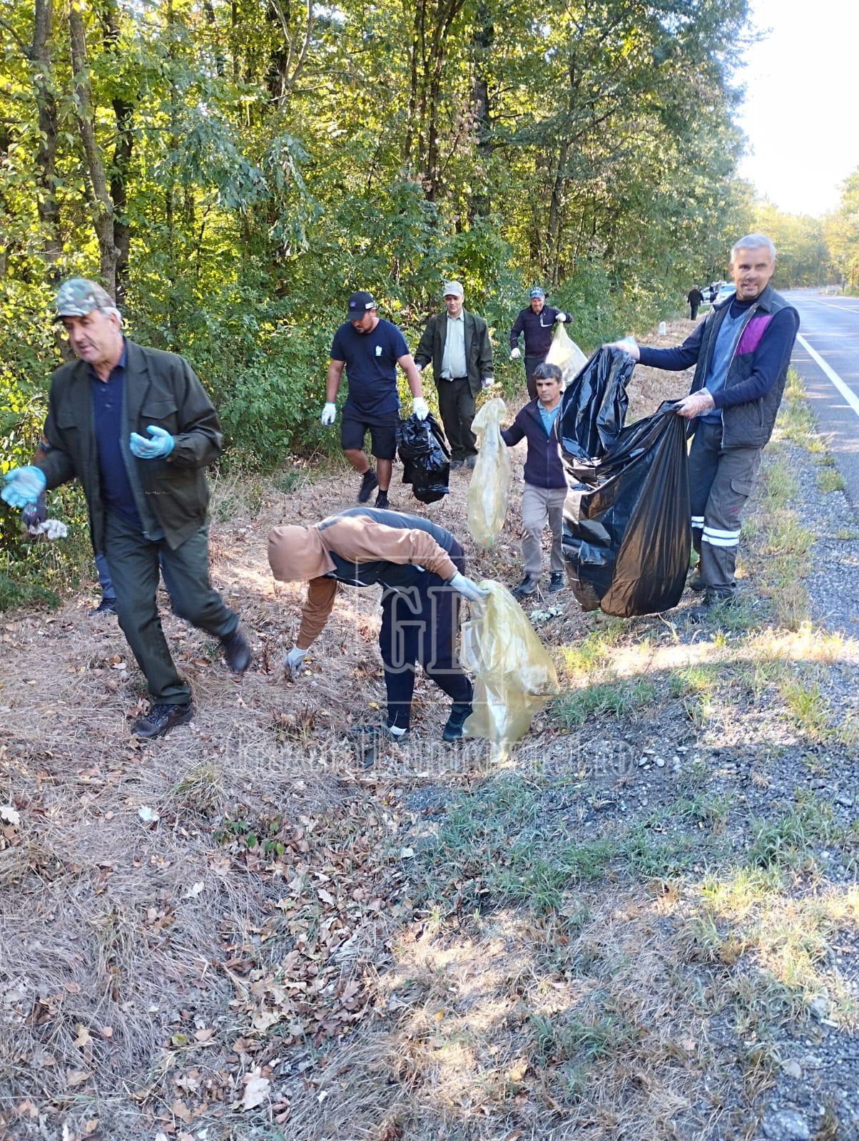 directia silvica (10)