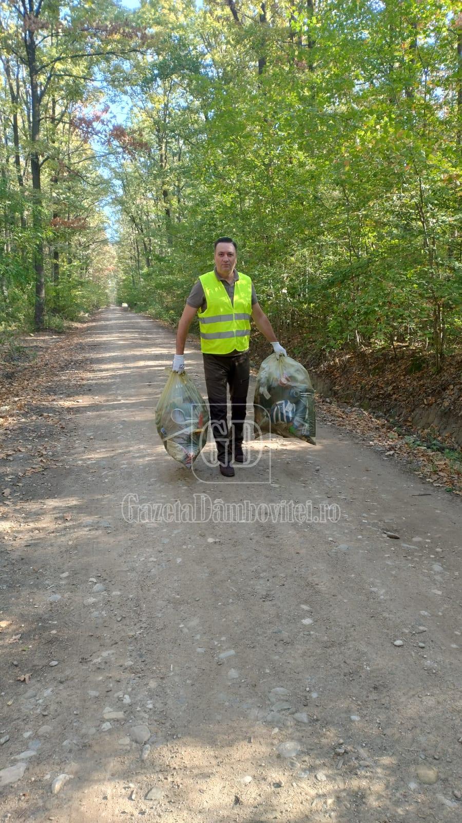 directia silvica (5)