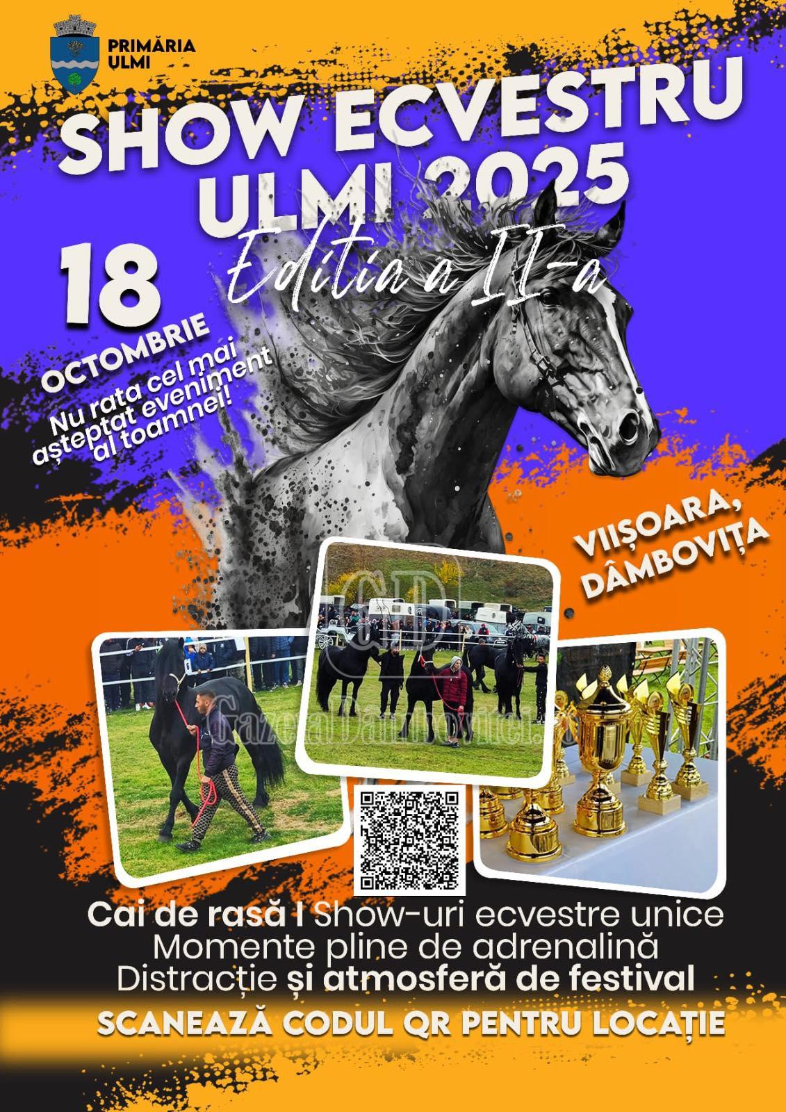 show ecvestru viisoara dambovita (5)