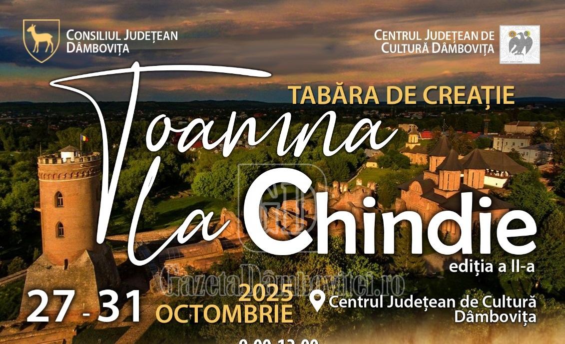 afiș tabără
