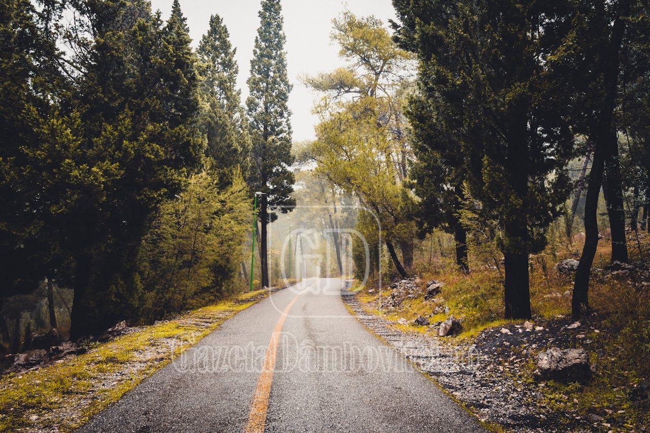 top 8 scenarii în care poți alege cu încredere cauciucurile all season