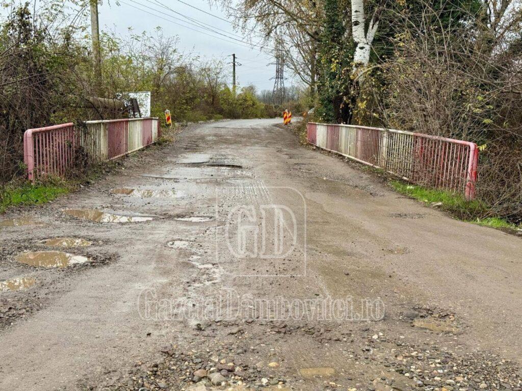 584882337 4128951140748702 6865936217669293913 n