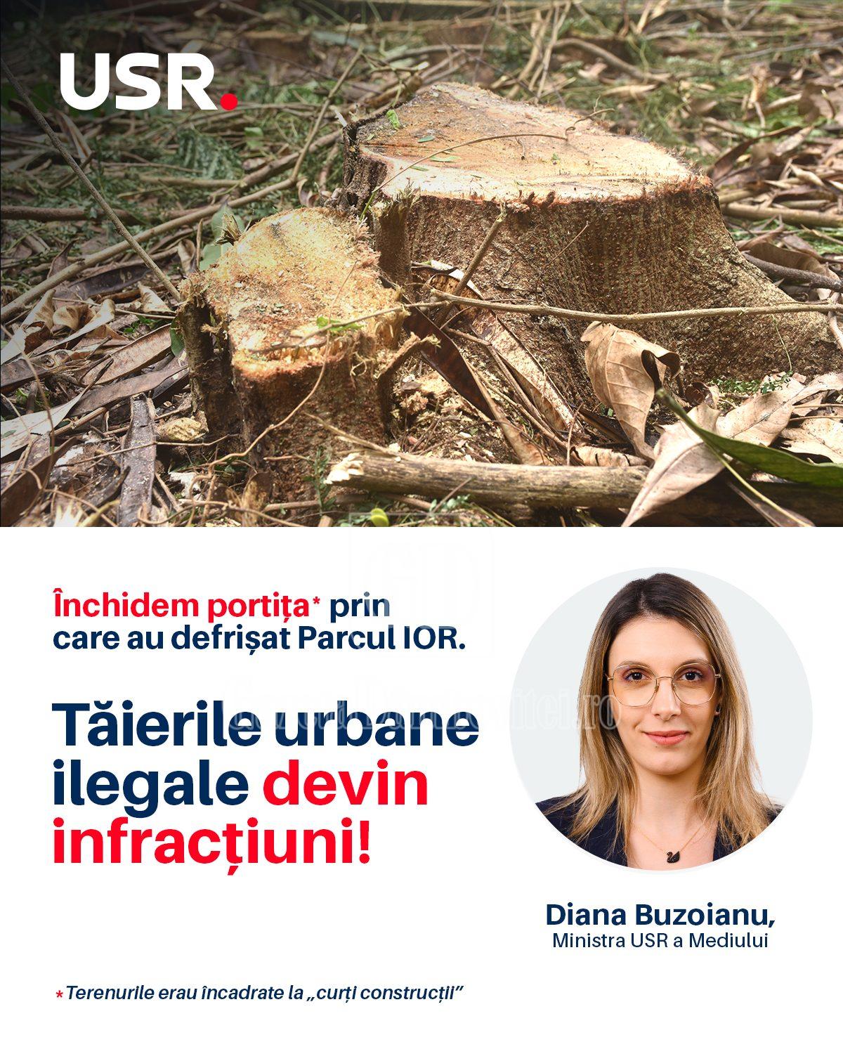 587690565 1420344629459883 2036328534715391319 n