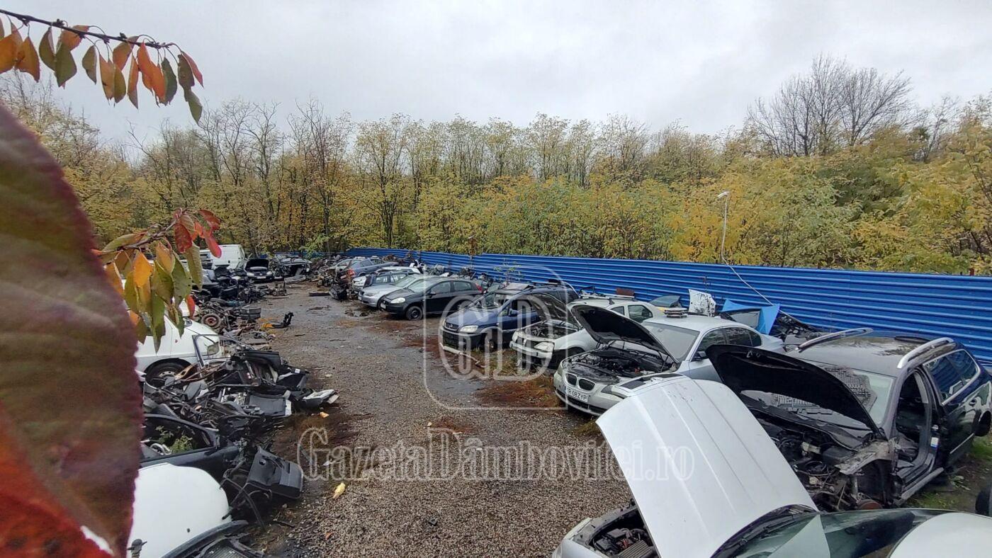 perchezitii matasaru (1)