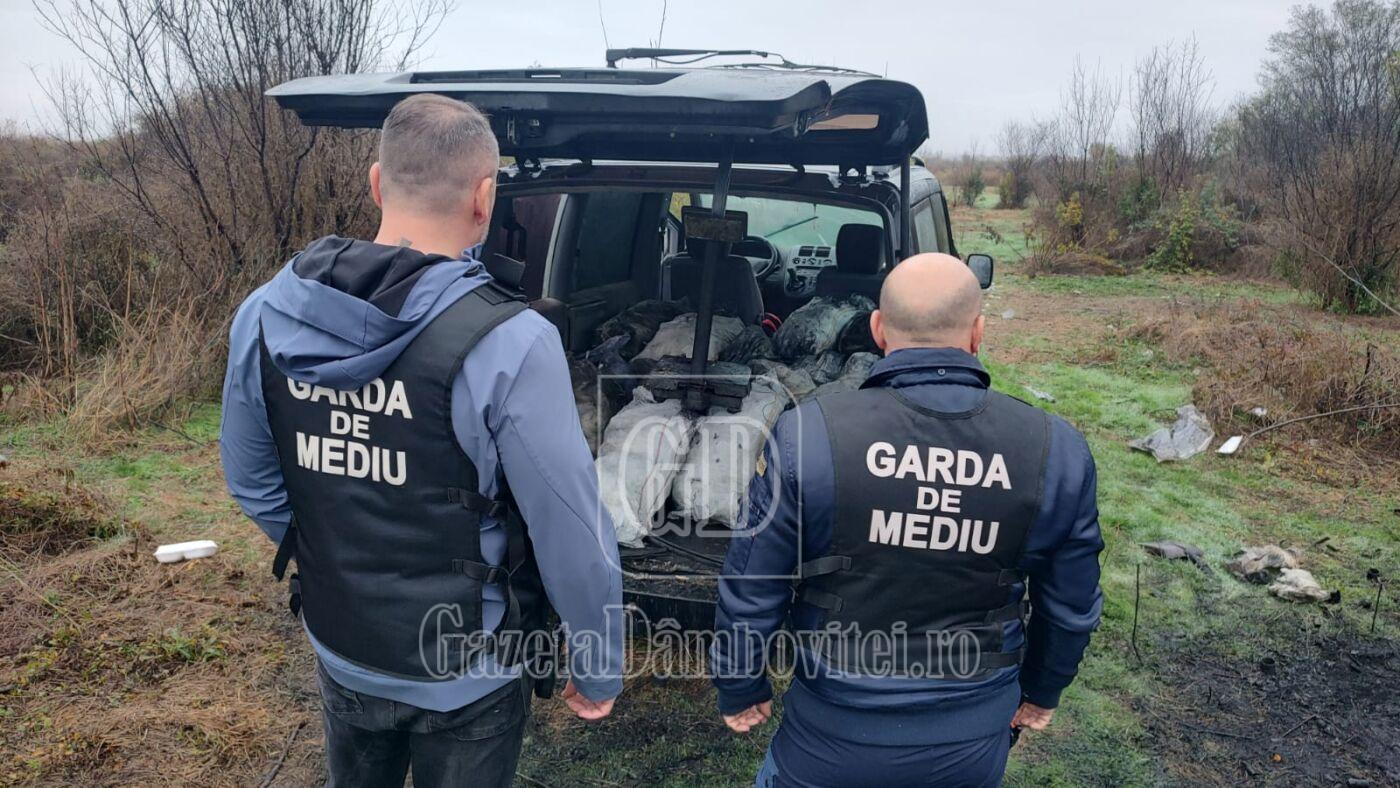 perchezitii matasaru (4)