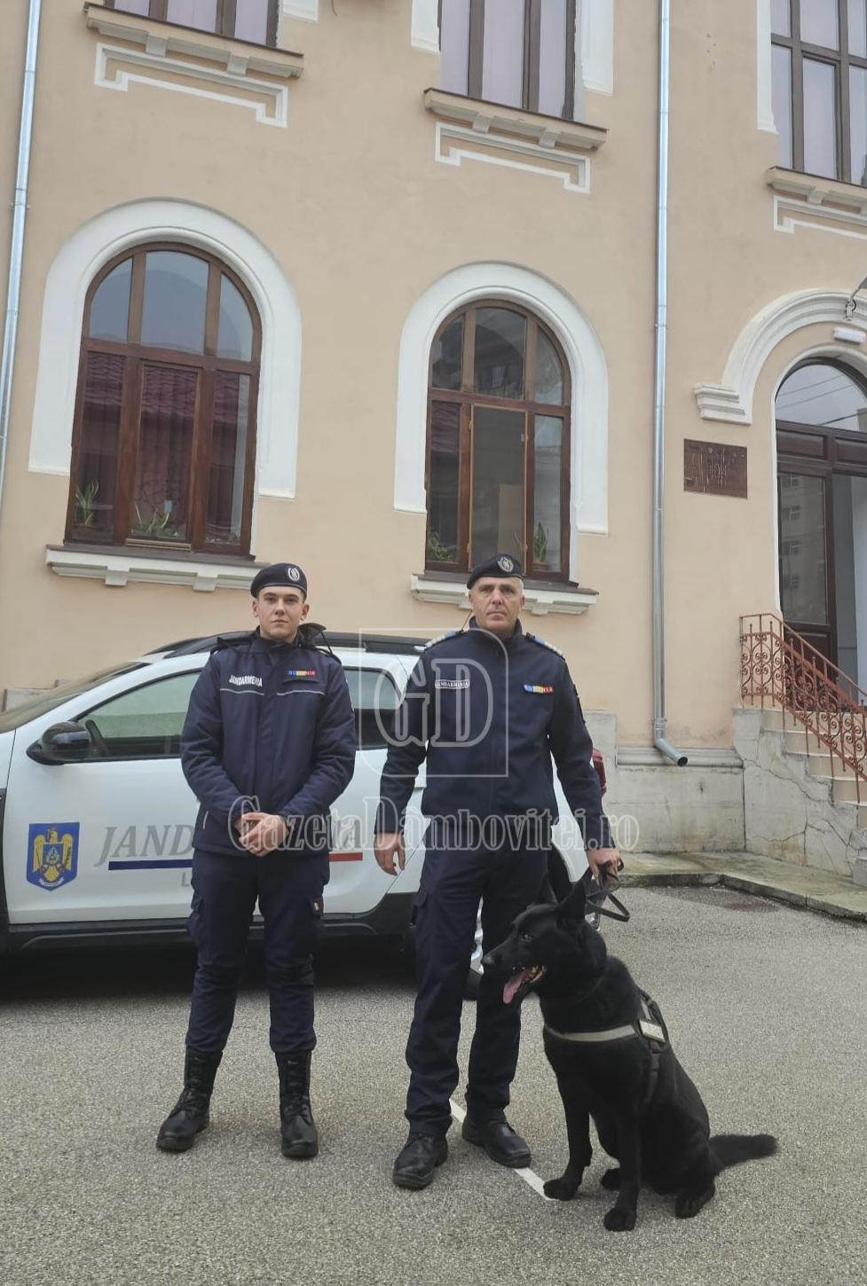 foto patrulă jandarmi