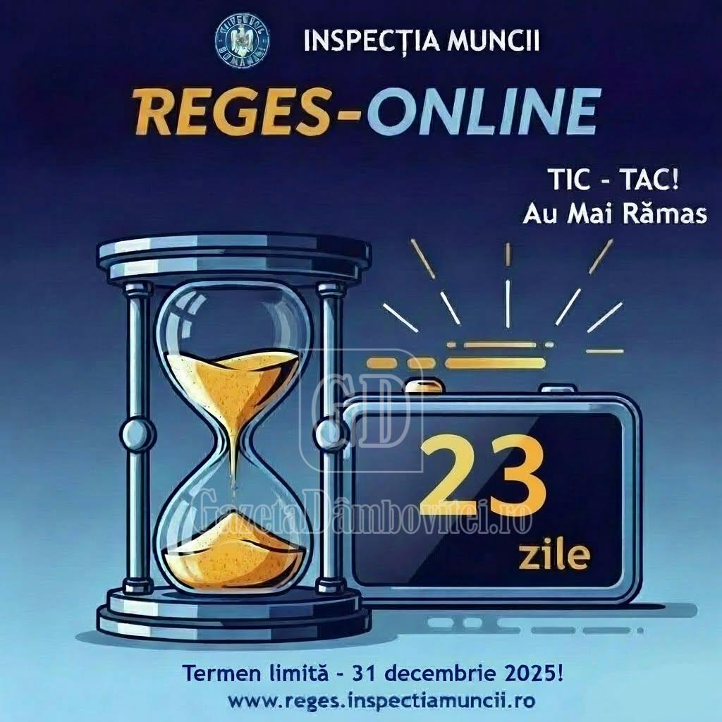 reges 23