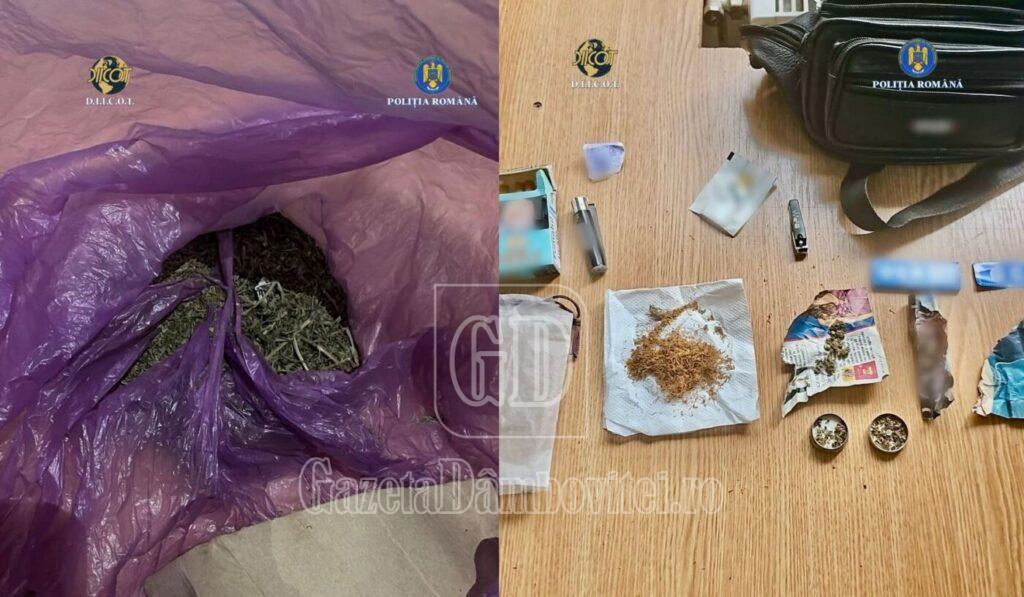 whatsapp image 2025 12 10 at 11.45.24 (1)