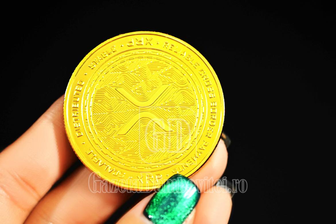 photo 1628238289092 b94f5c5b9375