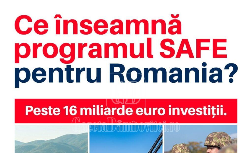 622385964 1468453544648991 1266155273956891611 n