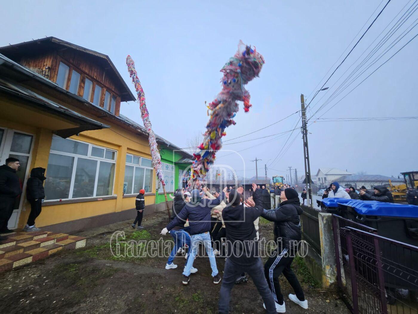 geavrele morteni (3)