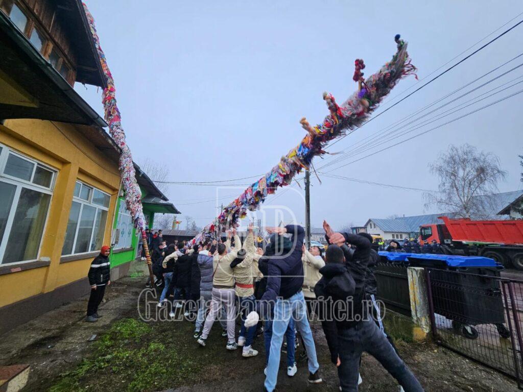 geavrele morteni (5)