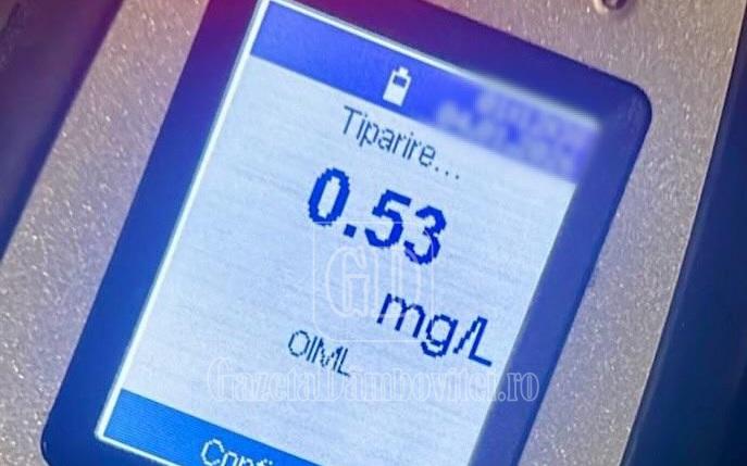 whatsapp image 2026 01 04 at 13.26.36